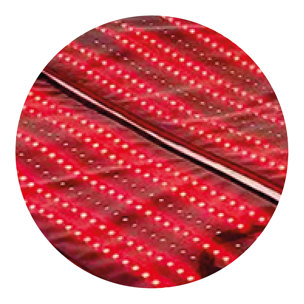 lipolaser dettaglio